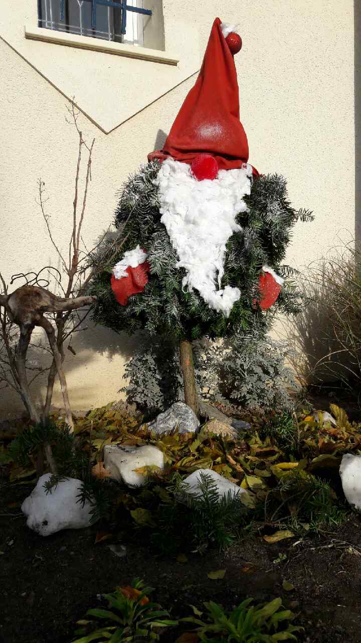 LE TOMTE DE NOEL.